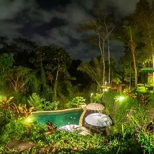 The Jungle , Ubud Indonésie